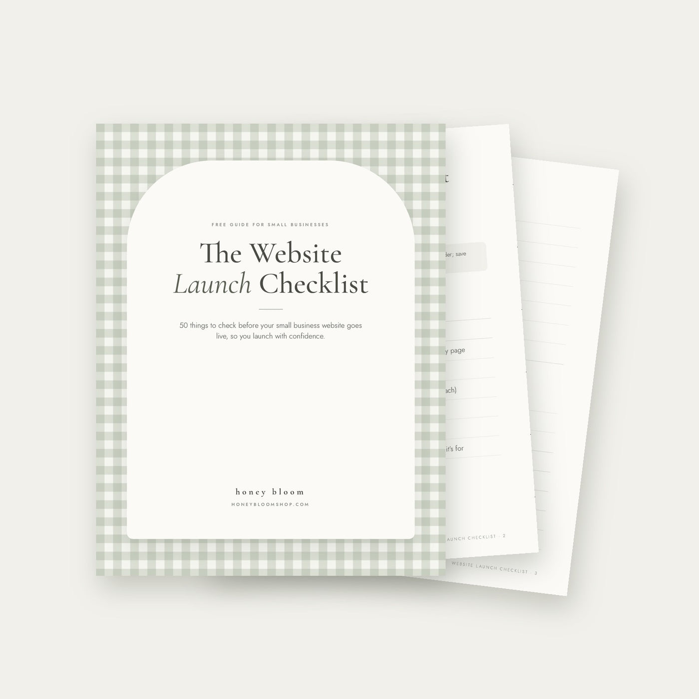 The website launch