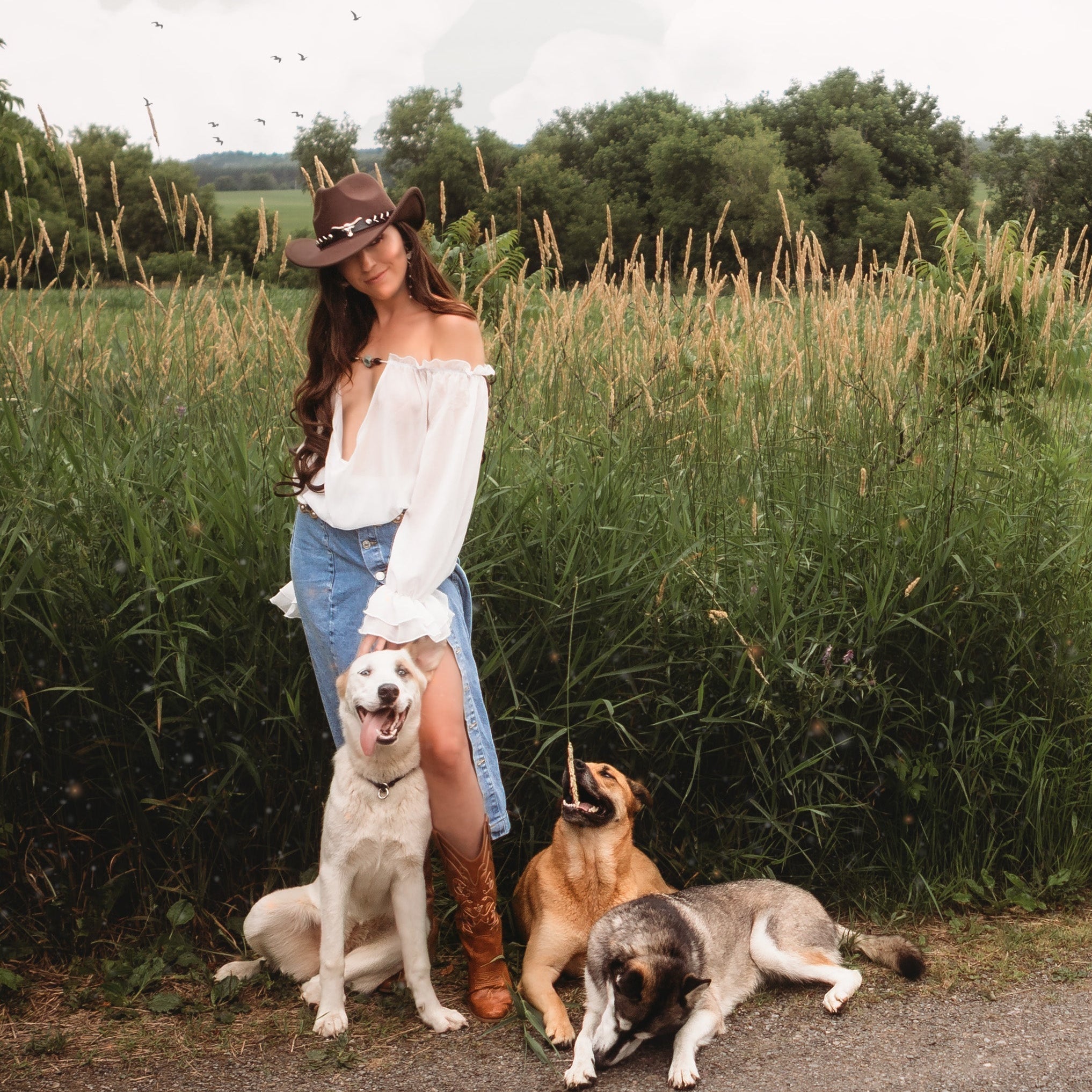 How Honey Bloom Candles Makes a Difference for Dogs