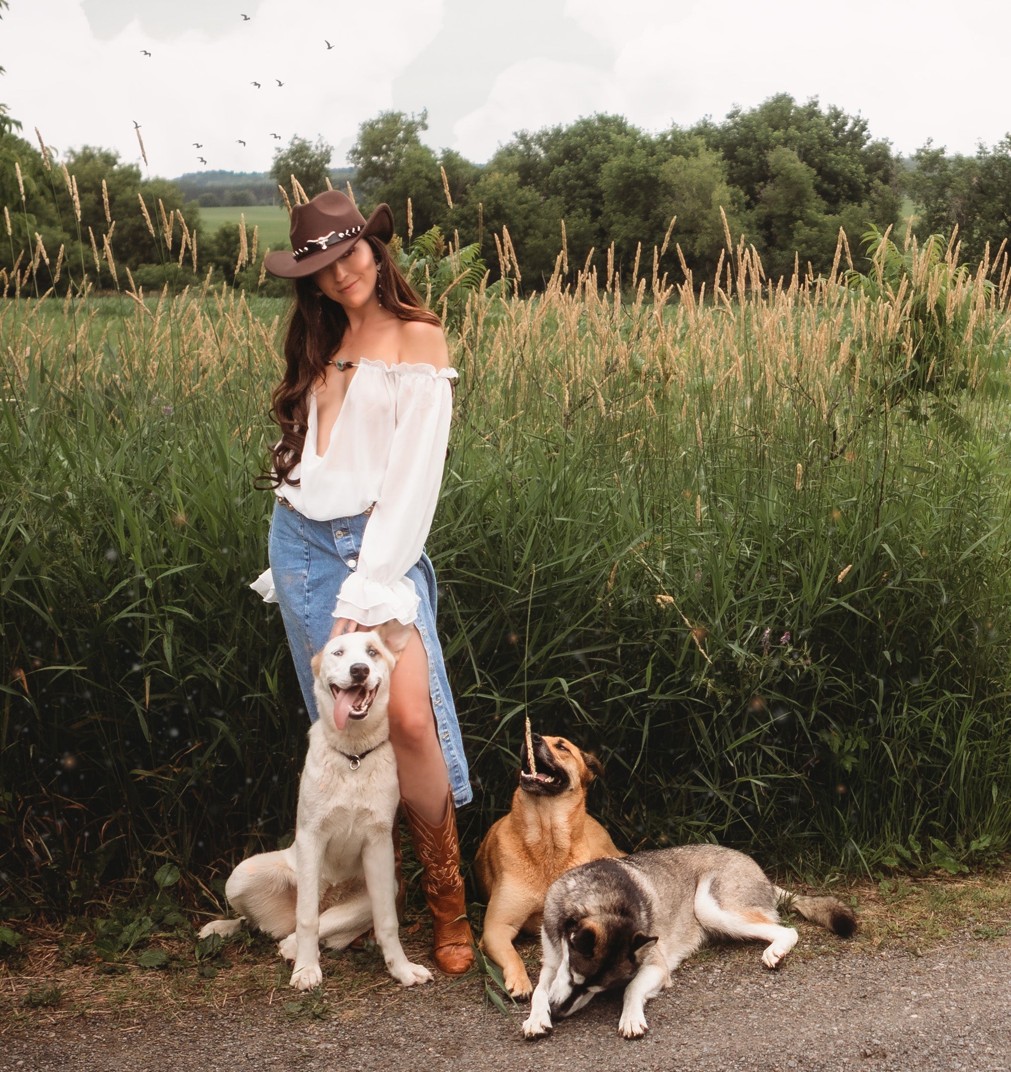 How Honey Bloom Candles Makes a Difference for Dogs