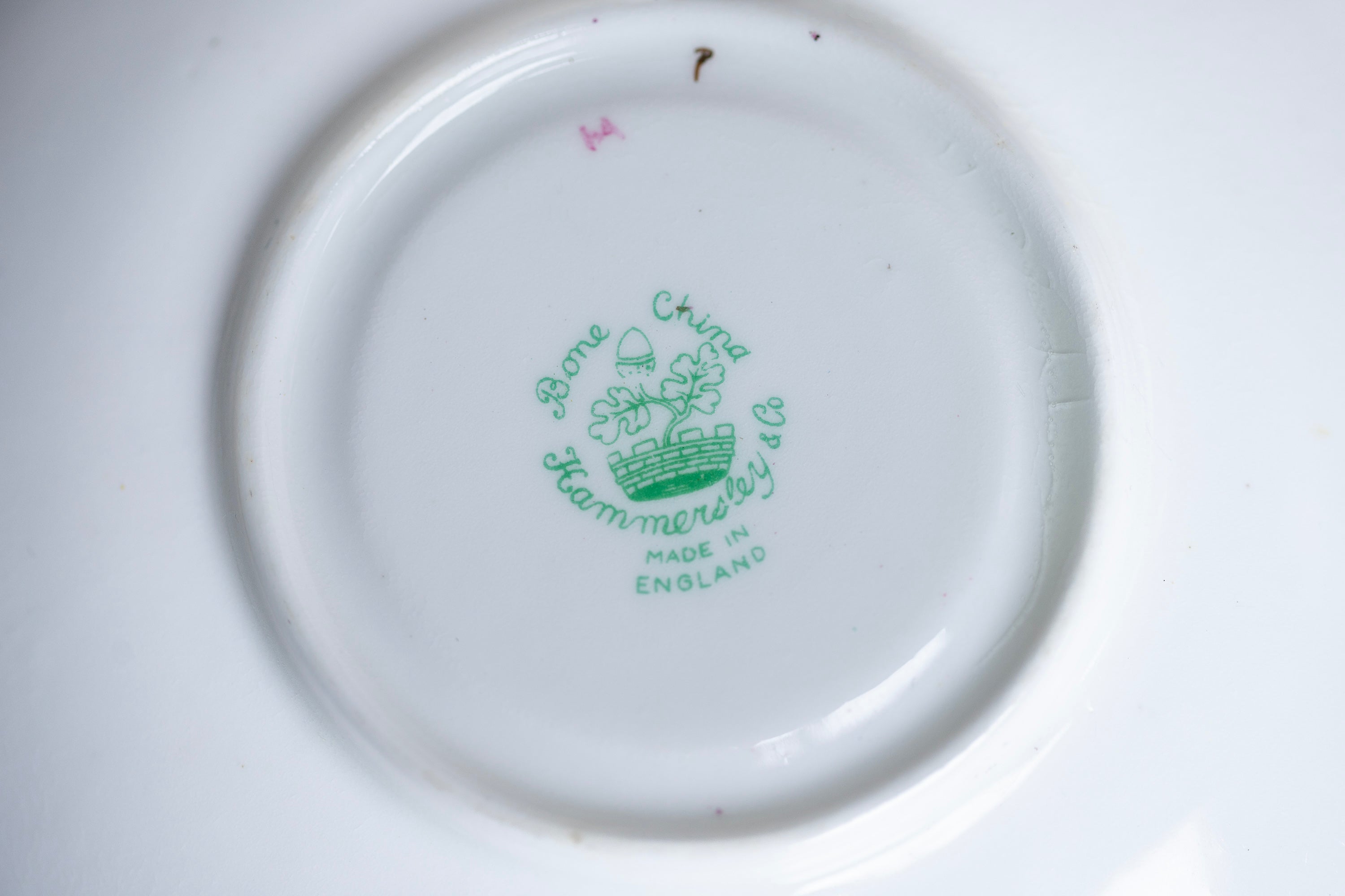 Close-up of a plate with 'Royal Crown Derby' branding on a white background
