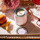 glow | apricot + rose blooms